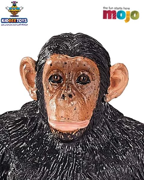 فیگور شامپانزه موژو