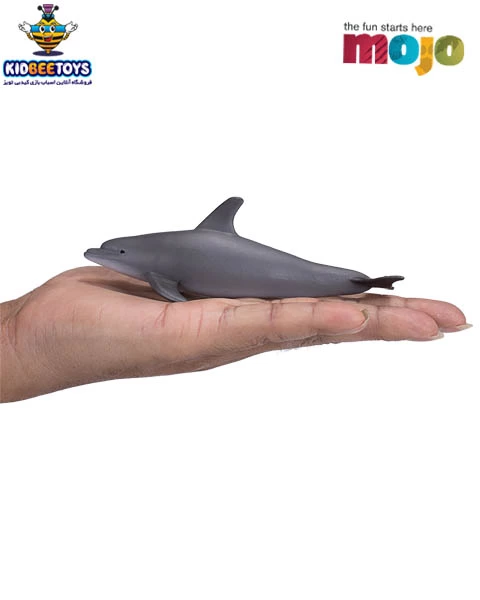 فیگور دلفین دماغ بطری موژو