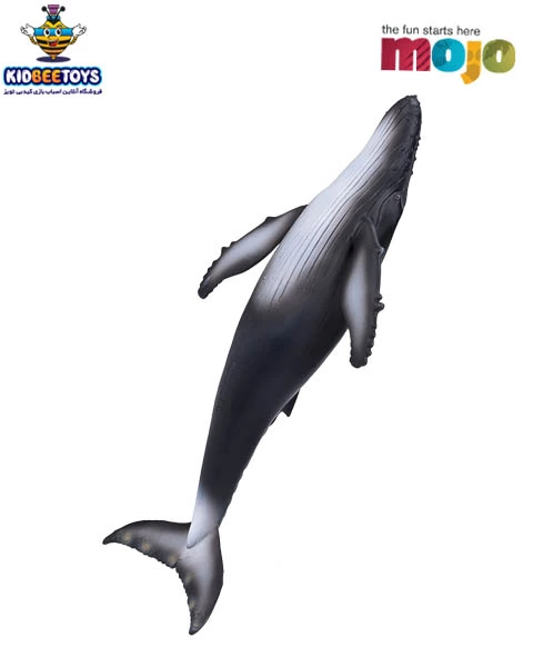 فیگور نهنگ کوهاندار 