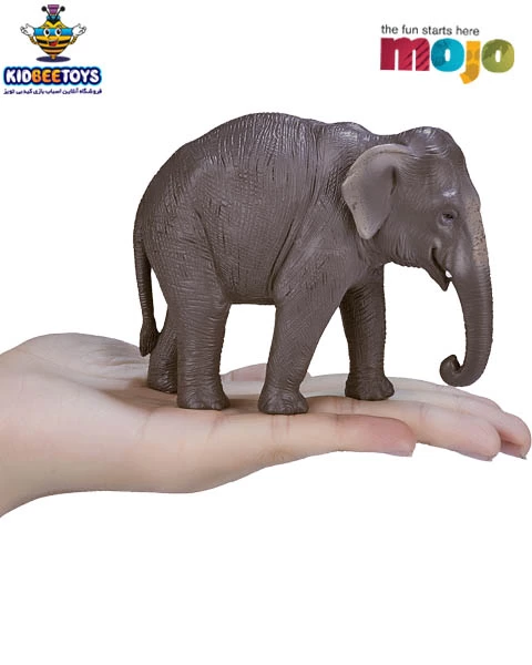 فیگور فیل آسیایی