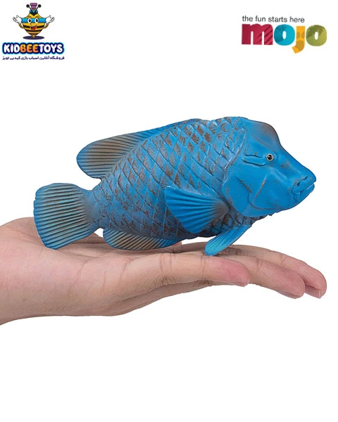 فیگور ماهی هامور آبی